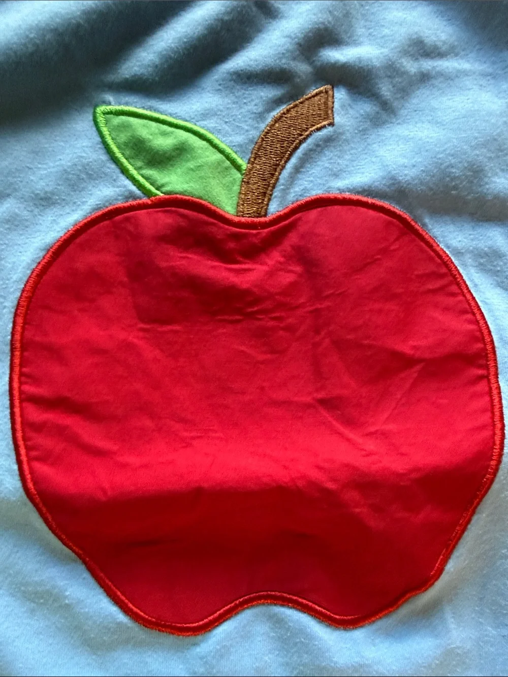 Blue Apple Applique Kids Skort Set
